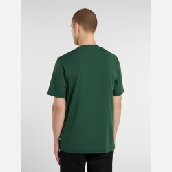 Dickies Mapleton t-shirt Pine Needle