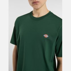 Dickies Mapleton t-shirt Pine Needle