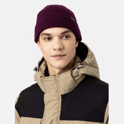 Dickies Woodworth Beanie Grape Wine