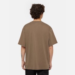 Dickies Unionville Clancy Heavyweight T-Shirt Mushroom