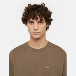 Dickies Unionville Clancy Heavyweight T-Shirt Mushroom