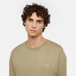Dickies Mapleton t-shirt Imperial Green