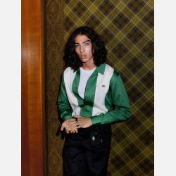 Dickies Westover Shirt Dark Ivy