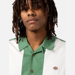 Dickies Westover Shirt Dark Ivy