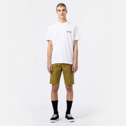 Dickies slim fit shorts Green Moss