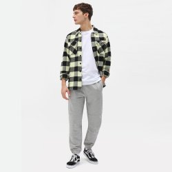 Dickies New Sacramento Mellow Green