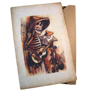 Mexicansk Postkort Guitarrista