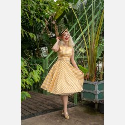 Hearts Gemma Gingham 50er swingkjole