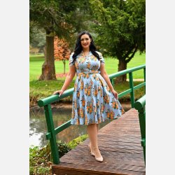 Hearts Hallie 1950'er skjortekjole