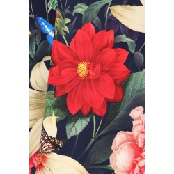 Hearts Moonlight Butterfly 50er swingkjole