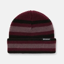 Dickies Mer Rouge Beanie Maroon