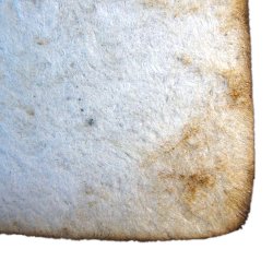 Mexicansk Postkort Frida Kahlo Grn