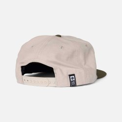 Salty Crew Coastal cap Birch Olive