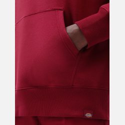 Dickies Saxman Hoodie rd