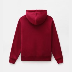 Dickies Saxman Hoodie rd