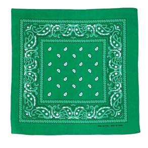 Bandana Grn Paisley