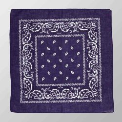 Bandana Violet Paisley