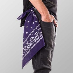 Bandana Violet Paisley