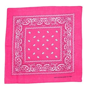 Bandana Pink Paisley