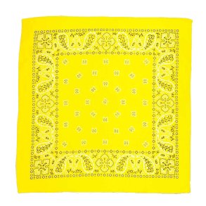 Bandana Gul Paisley