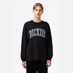 Dickies Aitkin Langrmet T-shirt Black/Air Force Blue