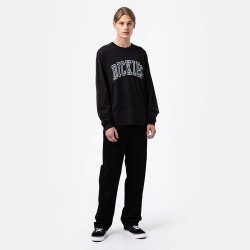 Dickies Aitkin Langrmet T-shirt Black/Air Force Blue