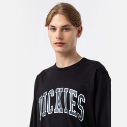 Dickies Aitkin Langrmet T-shirt Black/Air Force Blue