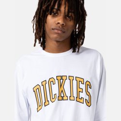 Dickies Aitkin Langrmet T-shirt White/Honey Gold