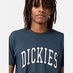 Dickies Aitkin T-shirt Air Force Blue