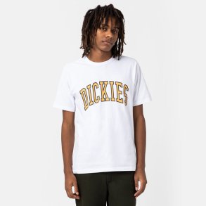 Dickies Aitkin T-shirt White/Honey Gold