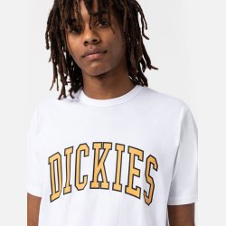 Dickies Aitkin T-shirt White/Honey Gold