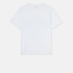 Dickies Aitkin T-shirt White/Honey Gold