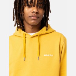 Dickies Loretto Hoodie Honey Gold