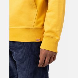 Dickies Loretto Hoodie Honey Gold