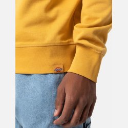 Dickies Loretto Sweatshirt Honey Gold
