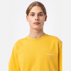 Dickies Loretto T-shirt Honey Gold