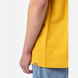 Dickies Loretto T-shirt Honey Gold