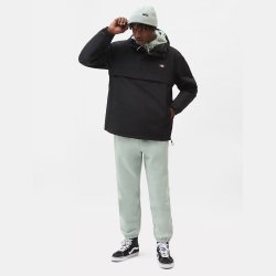 Dickies Glacier View vandtt anorak