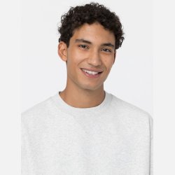 Dickies Summerdale Light Grey