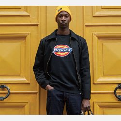 Dickies Harrison logo sweatshirt